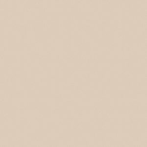 ЛДСП Бежевый песок